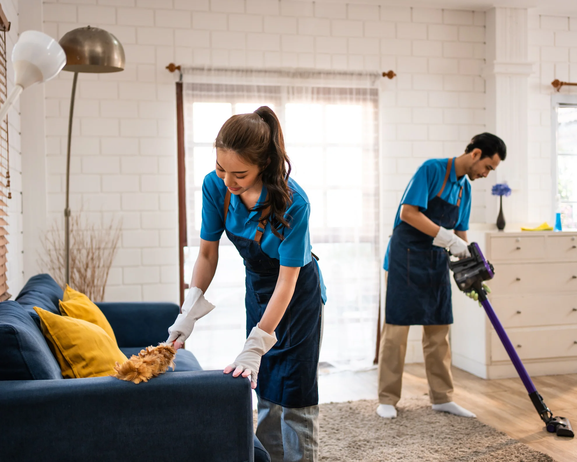 Domestic Cleaning